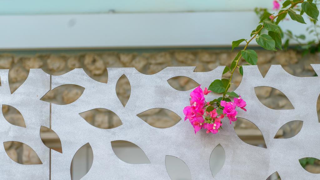 Apartment Mair Dubrovnik Szoba fotó